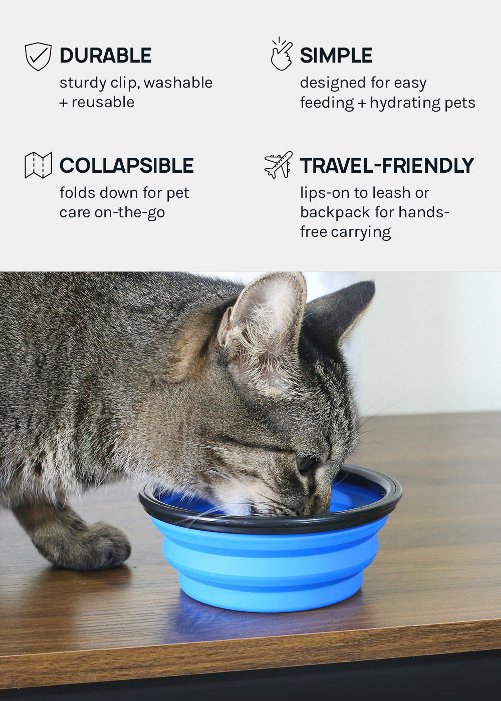 Collapsible Pet Bowl