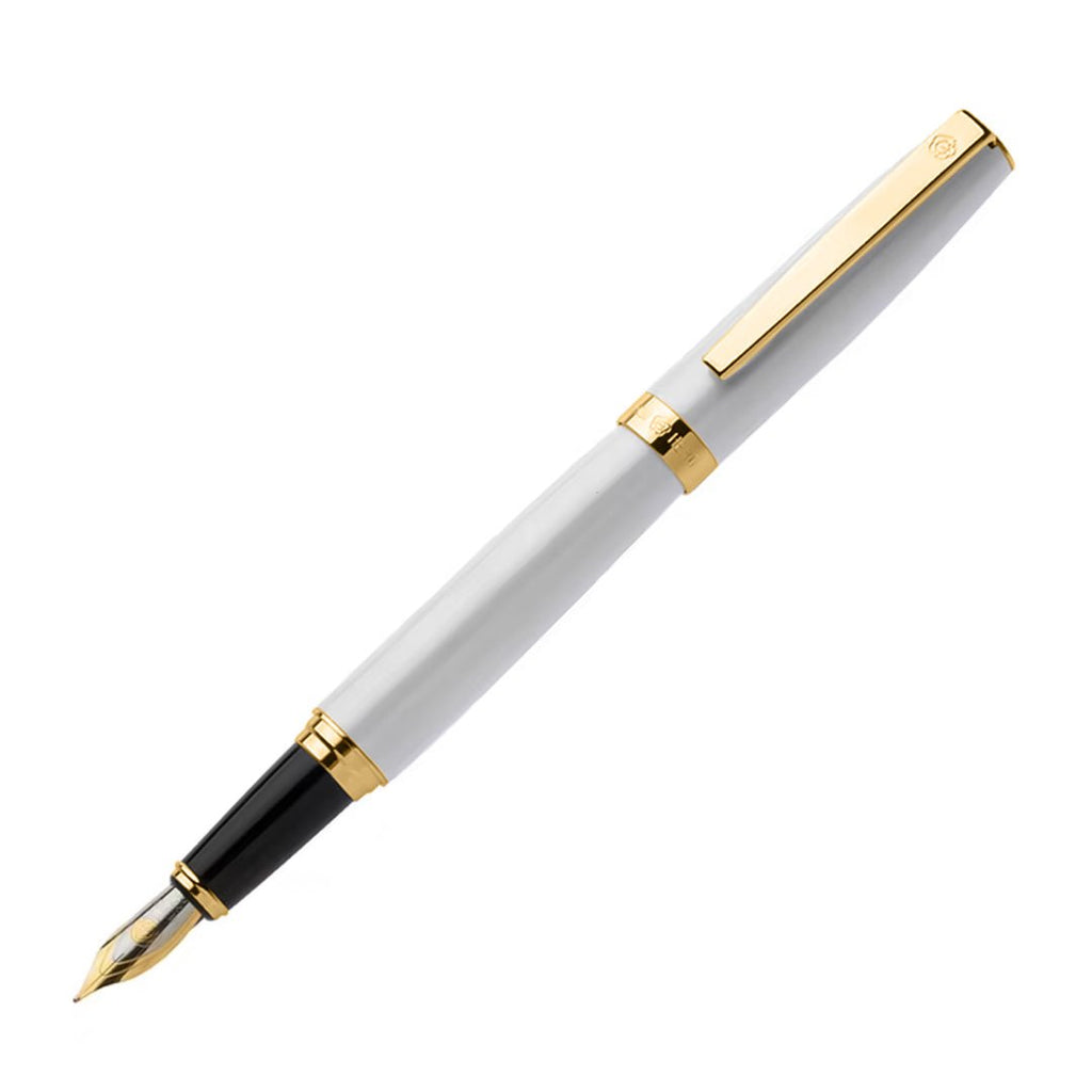 Hero 382 Fine Nib Converter Type Fountain Pen