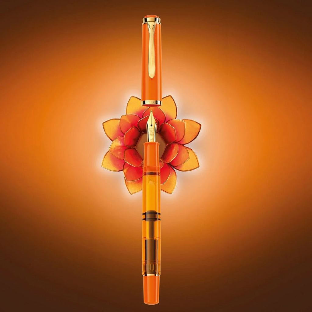 Pelikan Classic Fountain Pen