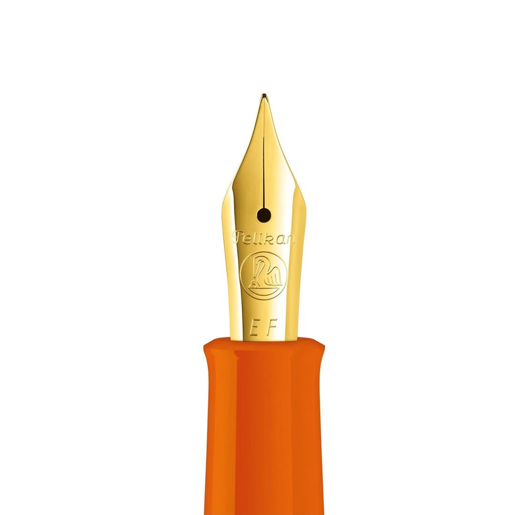 Pelikan Classic Fountain Pen