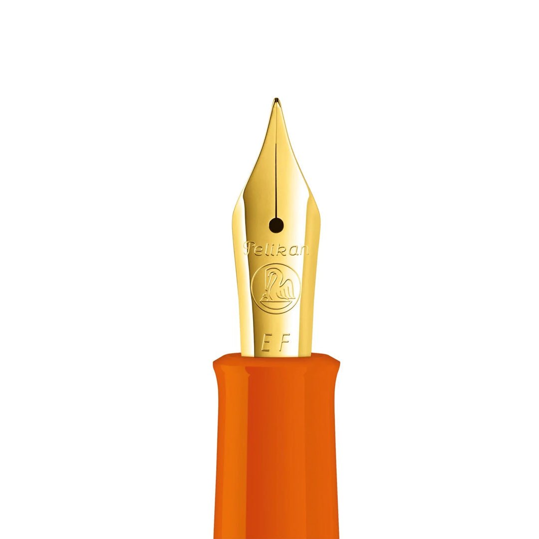 Pelikan Classic Fountain Pen