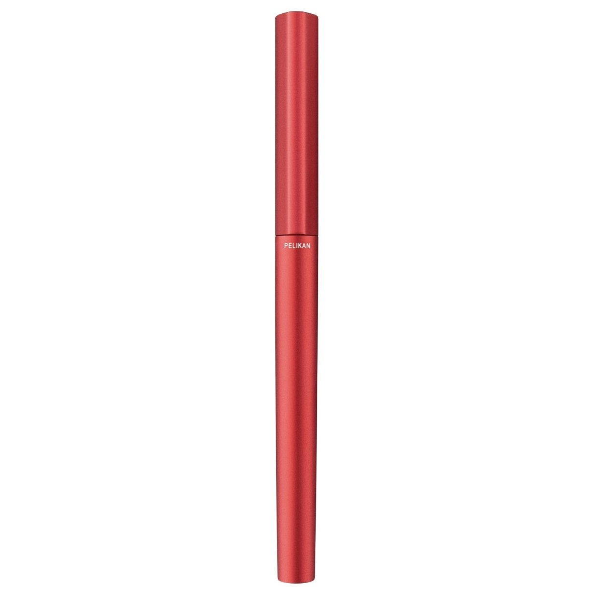 Pelikan Ineo P6 Fountain Pen