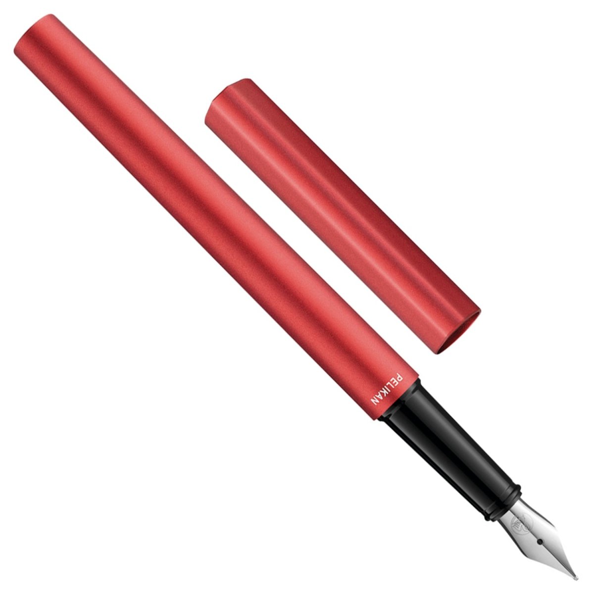 Pelikan Ineo P6 Fountain Pen