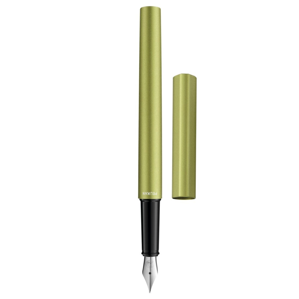 Pelikan Ineo P6 Fountain Pen