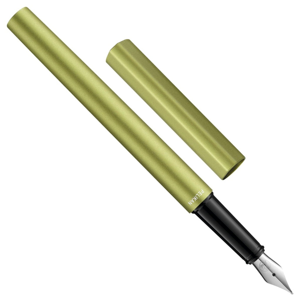 Pelikan Ineo P6 Fountain Pen