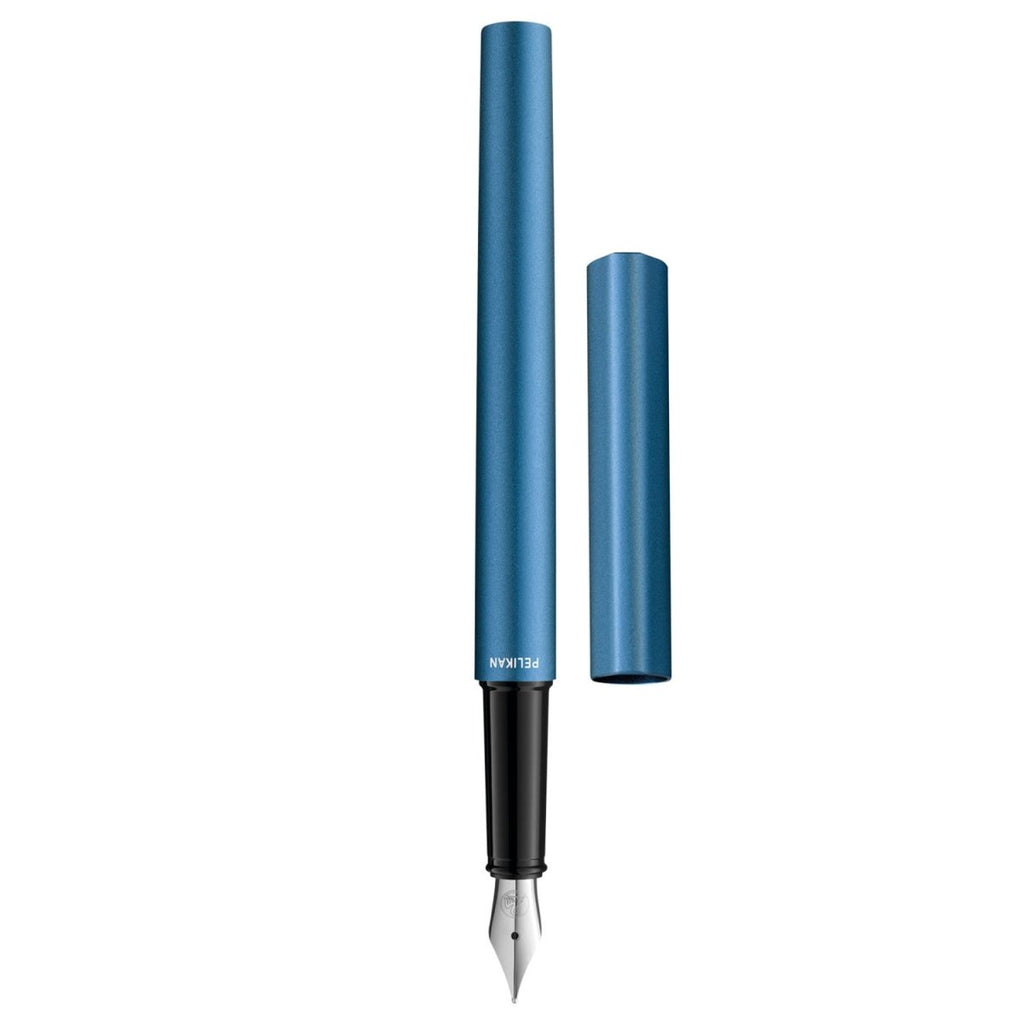 Pelikan Ineo P6 Fountain Pen