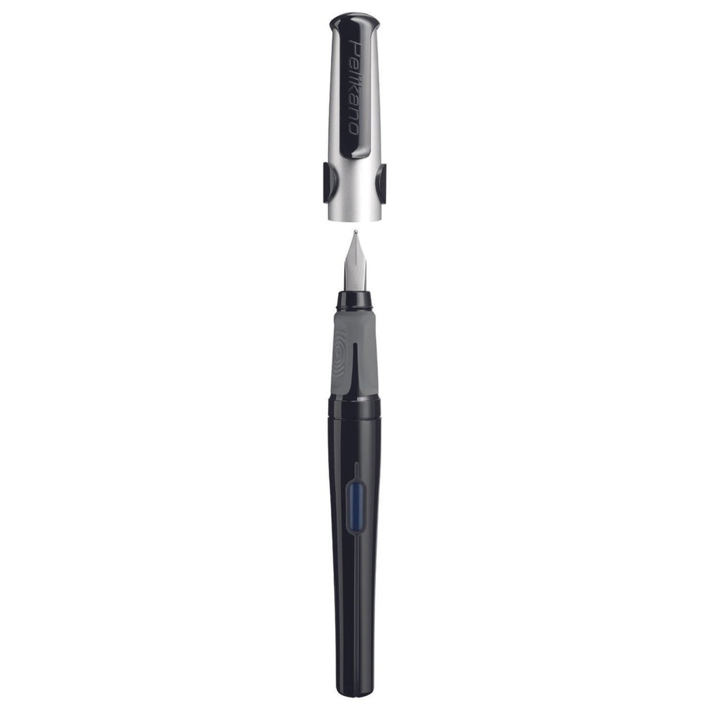 Pelikan Fountain Pen