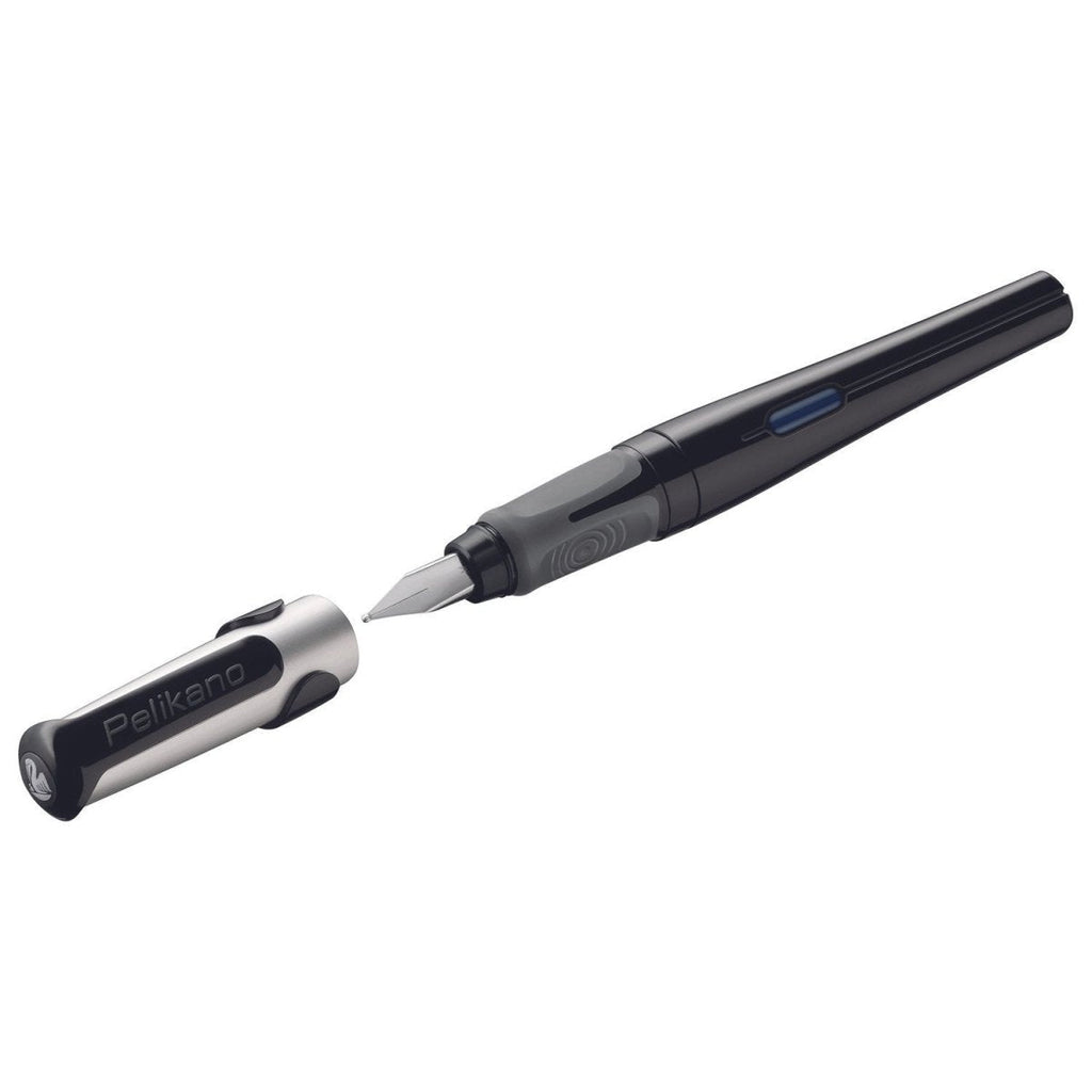 Pelikan Fountain Pen