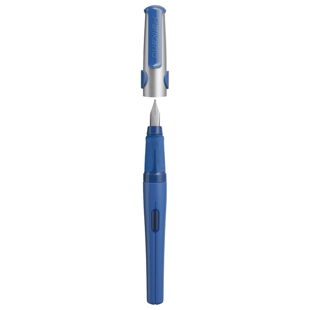 Pelikan Fountain Pen