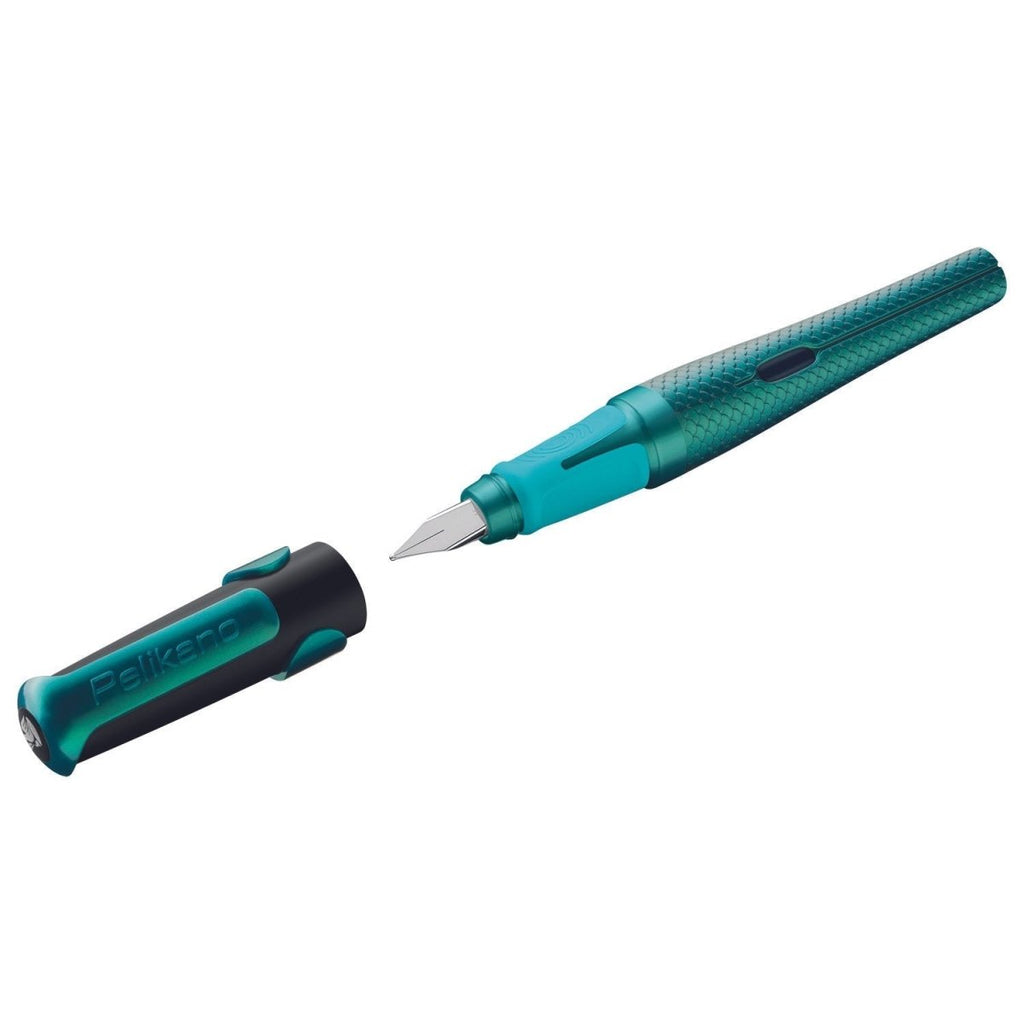 Pelikan Fountain Pen