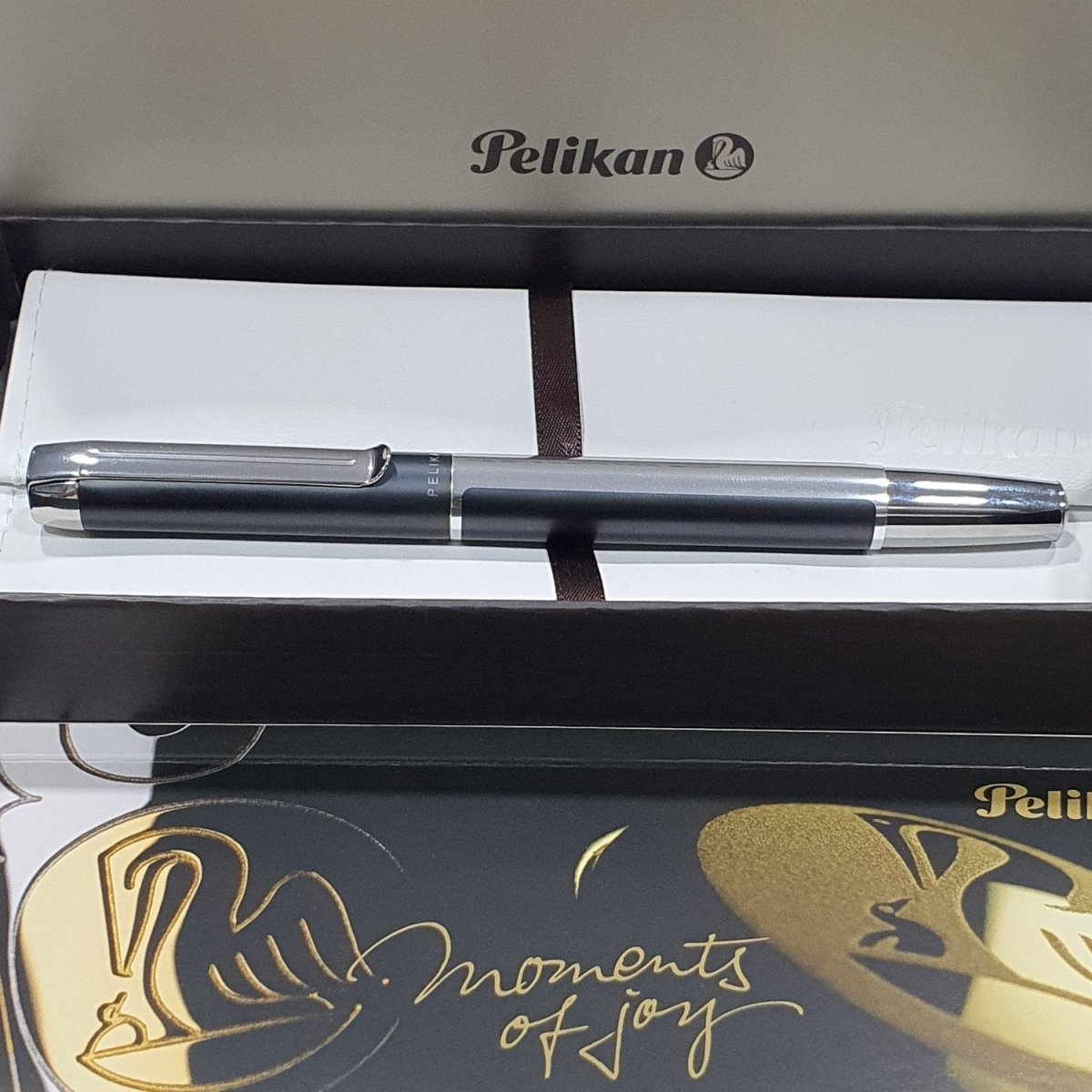 Pelikan Pura P40 Fountain Pen