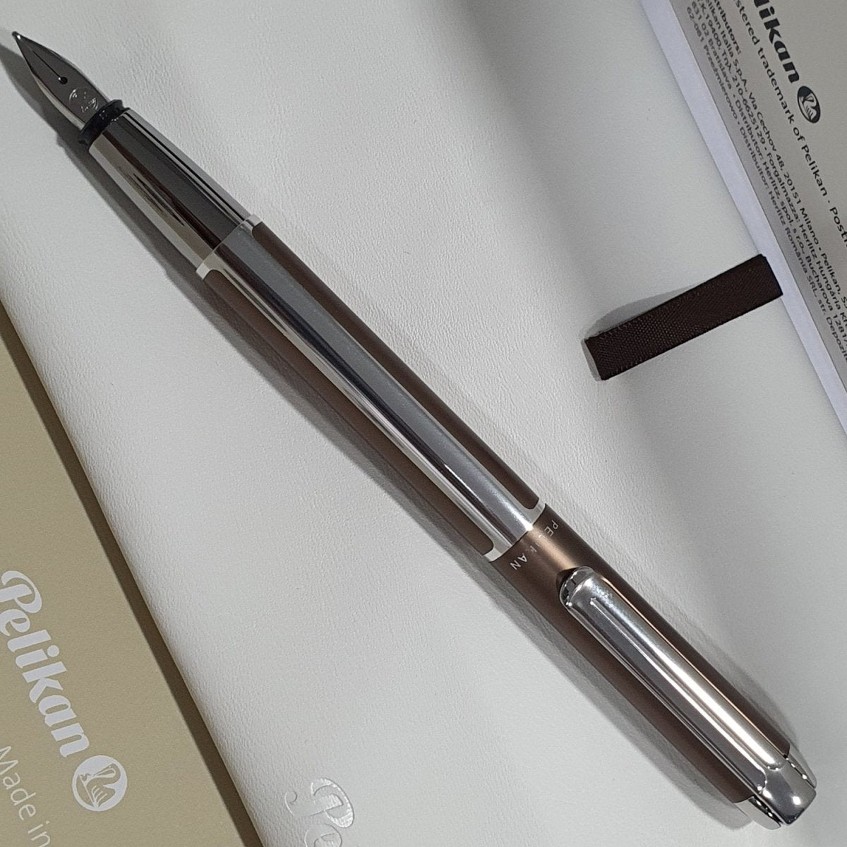 Pelikan Pura P40 Fountain Pen