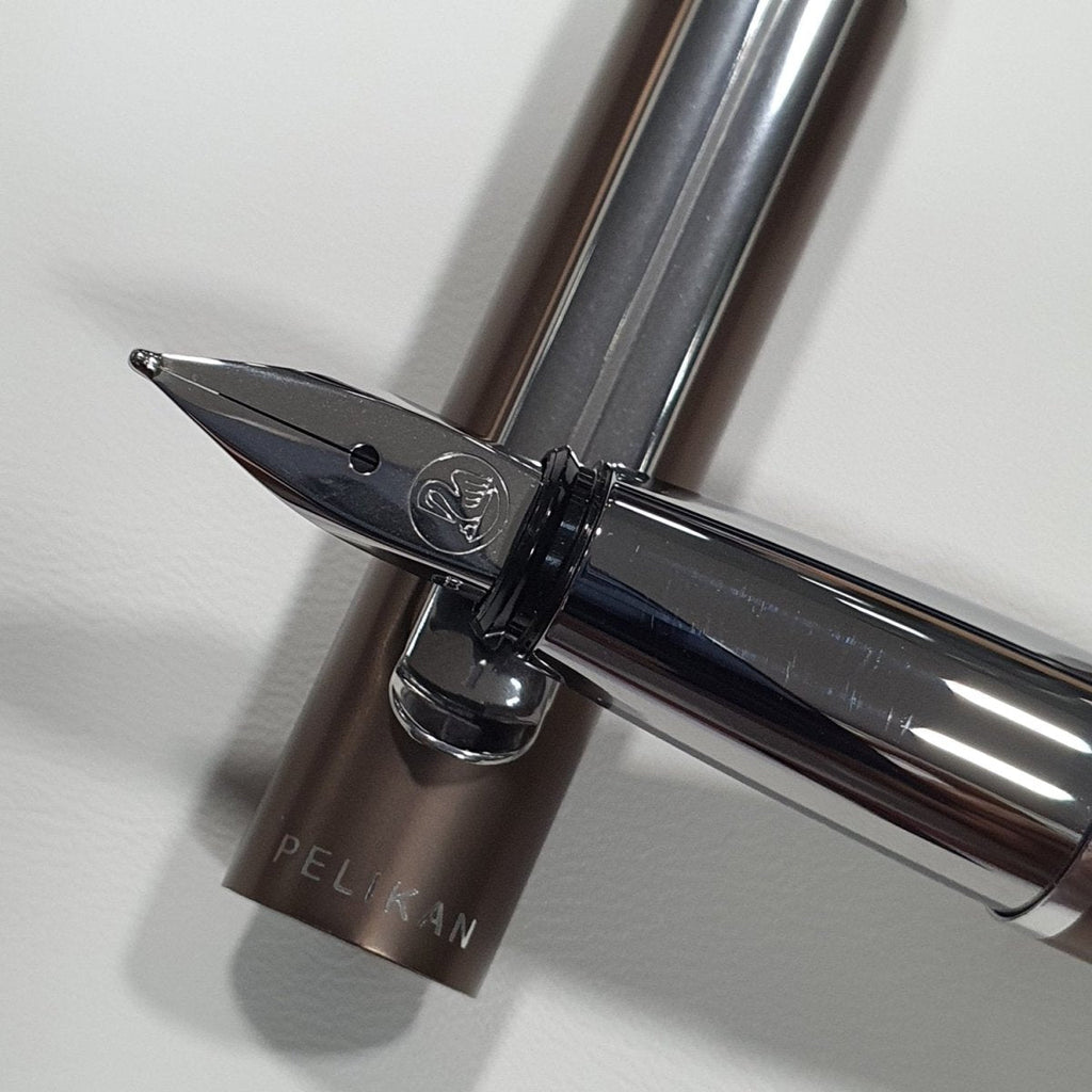 Pelikan Pura P40 Fountain Pen