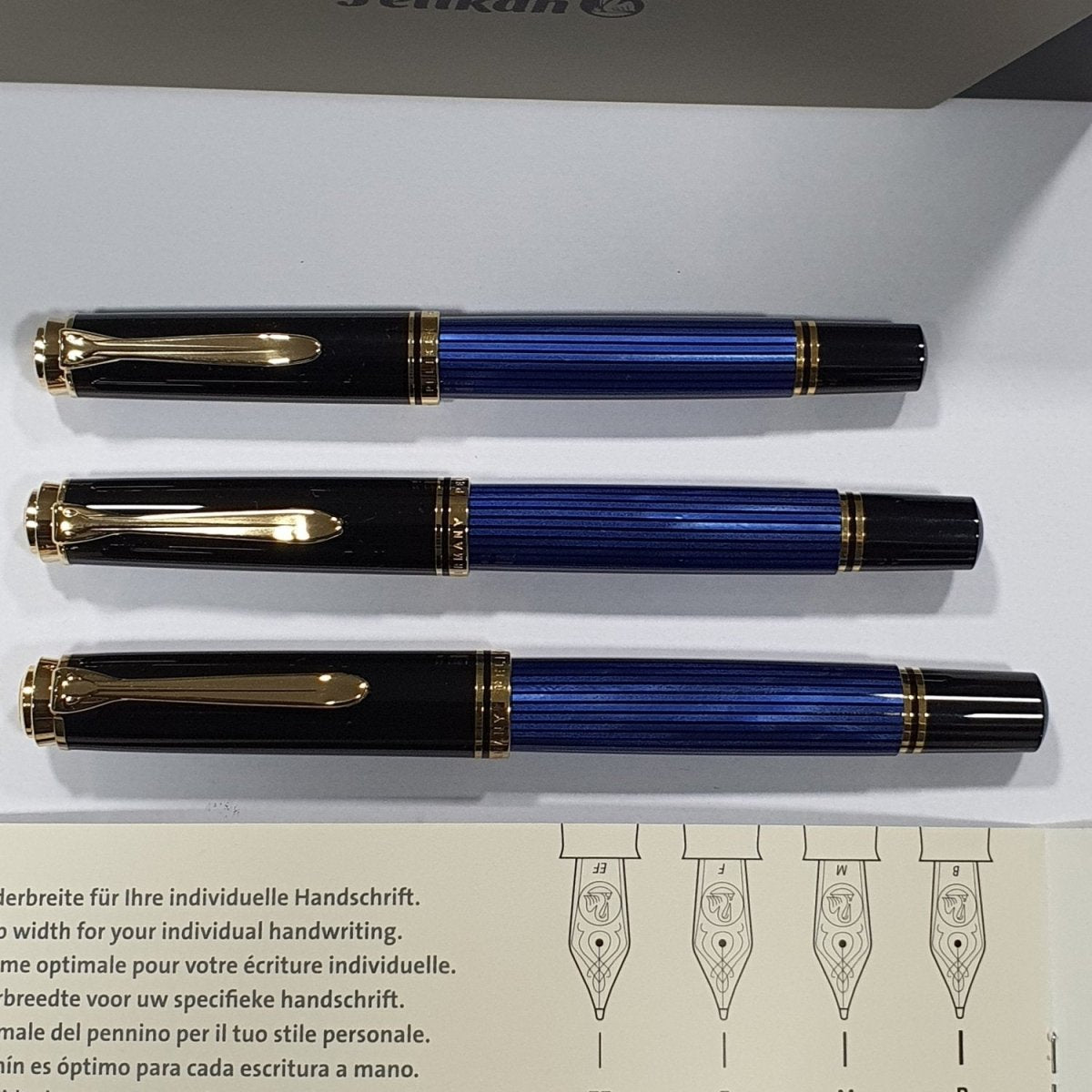 Pelikan Souveran M600 Fountain Pen (Special Edition)