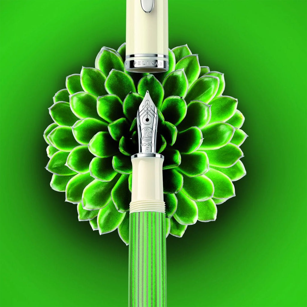 Pelikan Souveran M600 Fountain Pen (Special Edition)