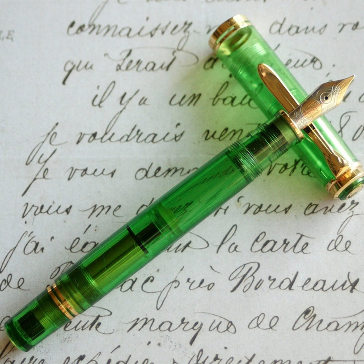 Pelikan Fountain Pen