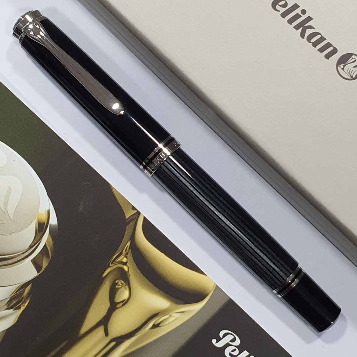 Pelikan Fountain Pen